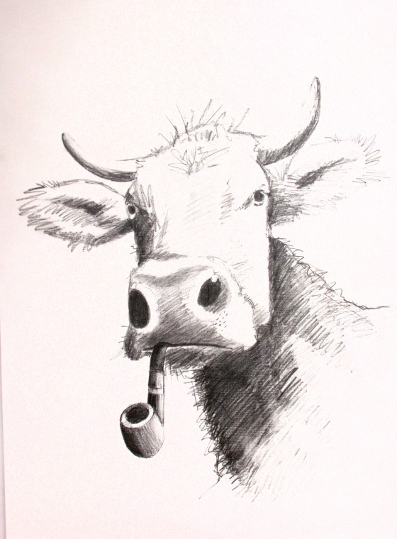 pipe smoking cow